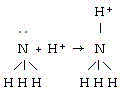 mc037-1.jpg