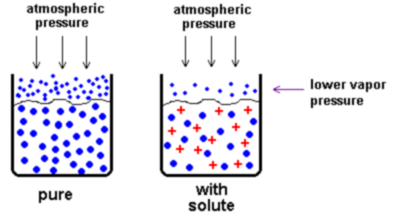 What is boiling point elevation?